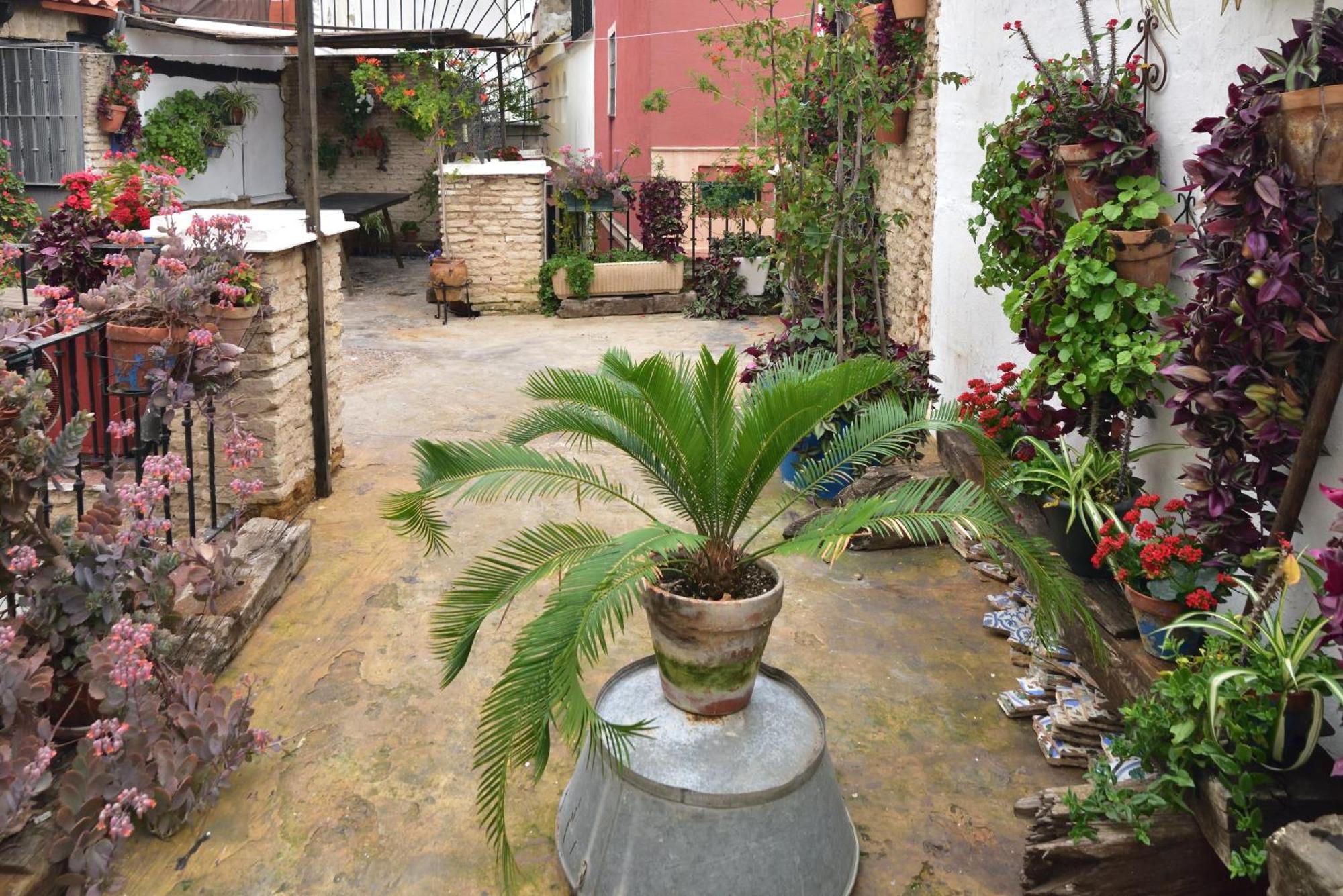 Suite Dona Ines Barrio Santacruz Sevilla Eksteriør billede